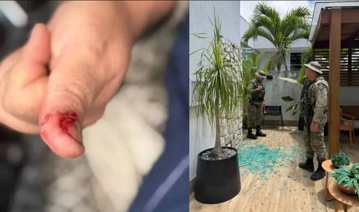 Imagem de Macaco de ex-deputado foge e causa confusão em condomínio de Salvador