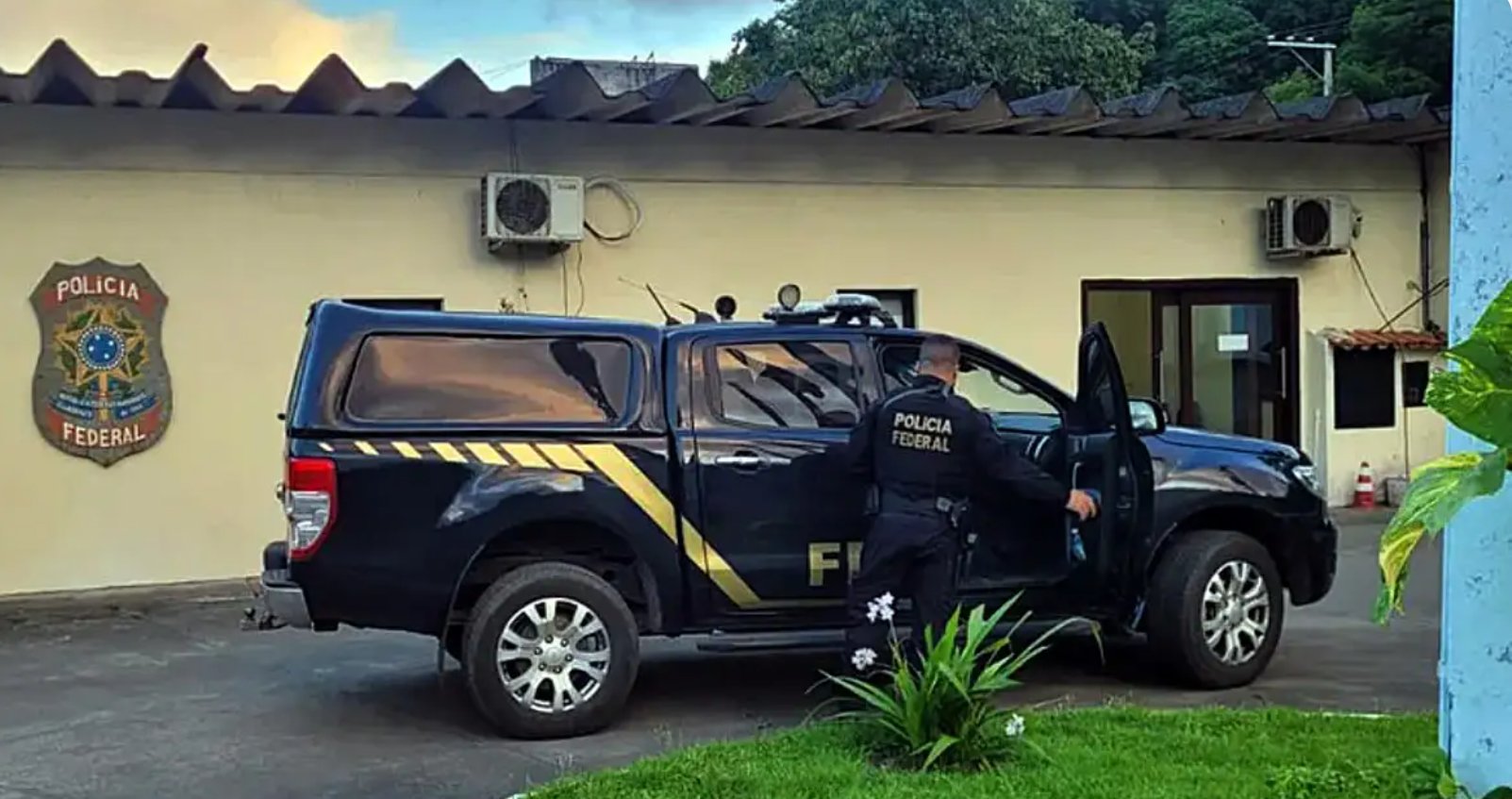 Imagem de PF inicia operação contra tráfico internacional de animais silvestres