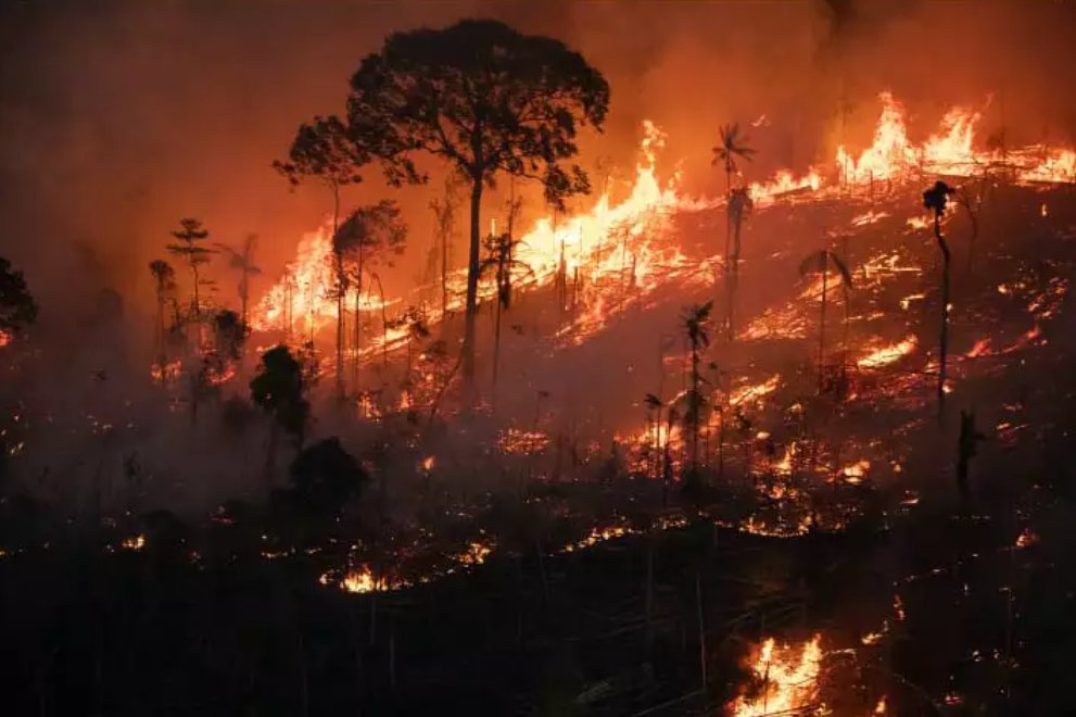 Imagem de STF afrouxa prazo para governo Lula apresentar plano contra incêndios