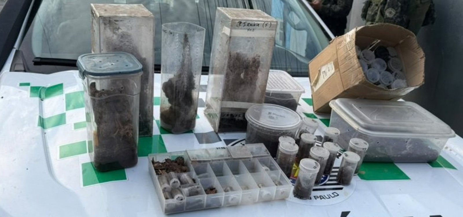 Imagem de PF realiza operação em Salvador contra tráfico de animais silvestres