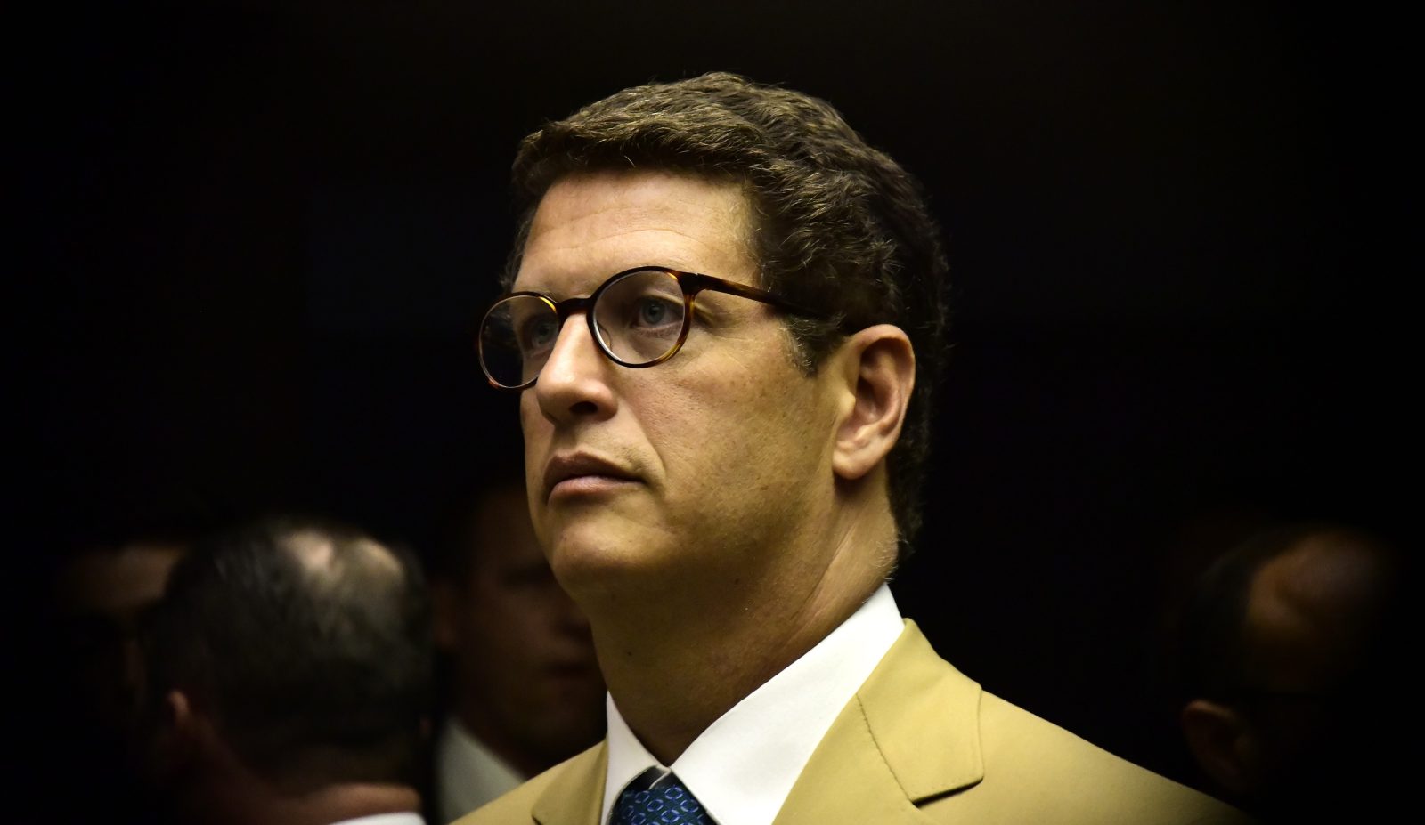 Deputado federal Ricardo Salles (PL-SP)