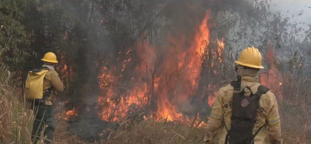 Altamira decreta situação de emergência por incêndios florestais no Pará.
